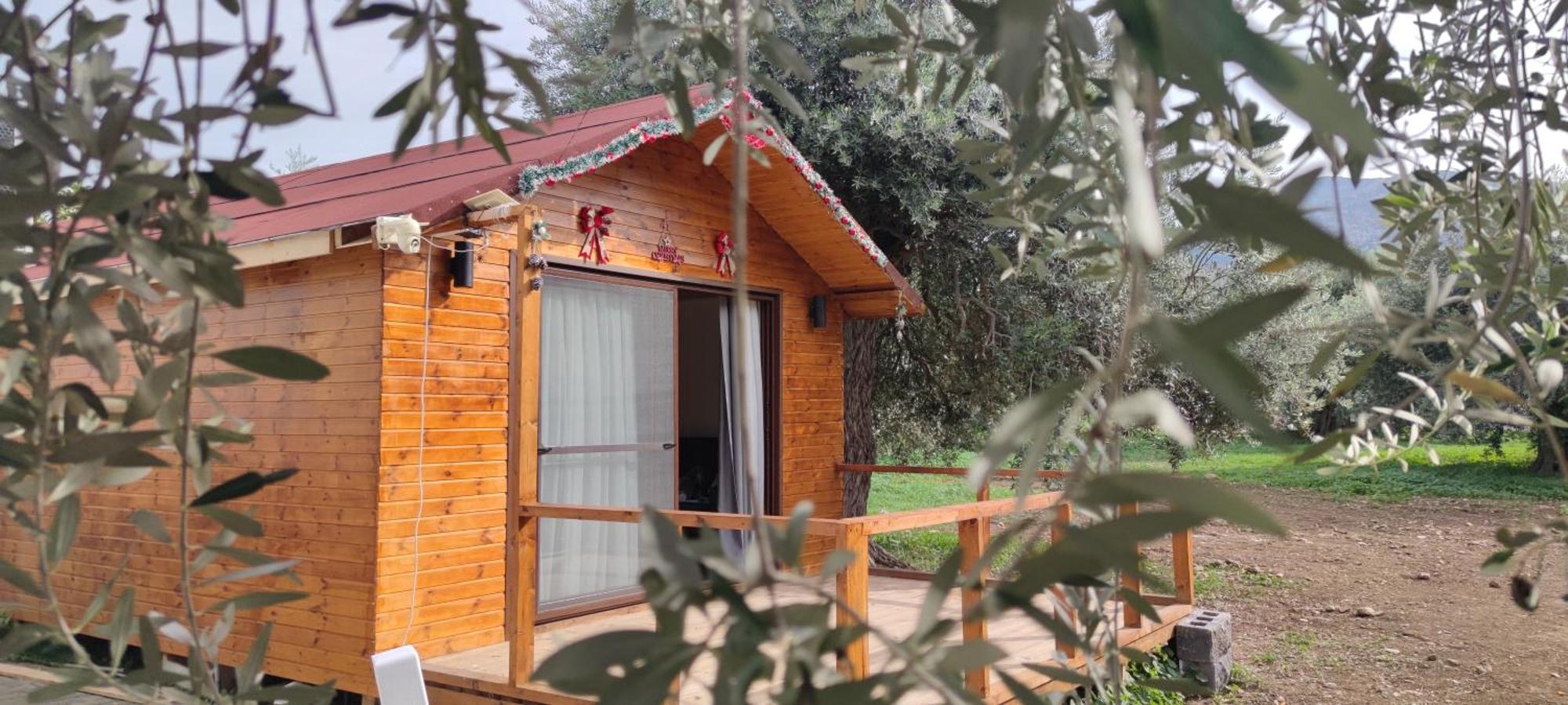 Suluca Homes 凯里尼亚 外观 照片